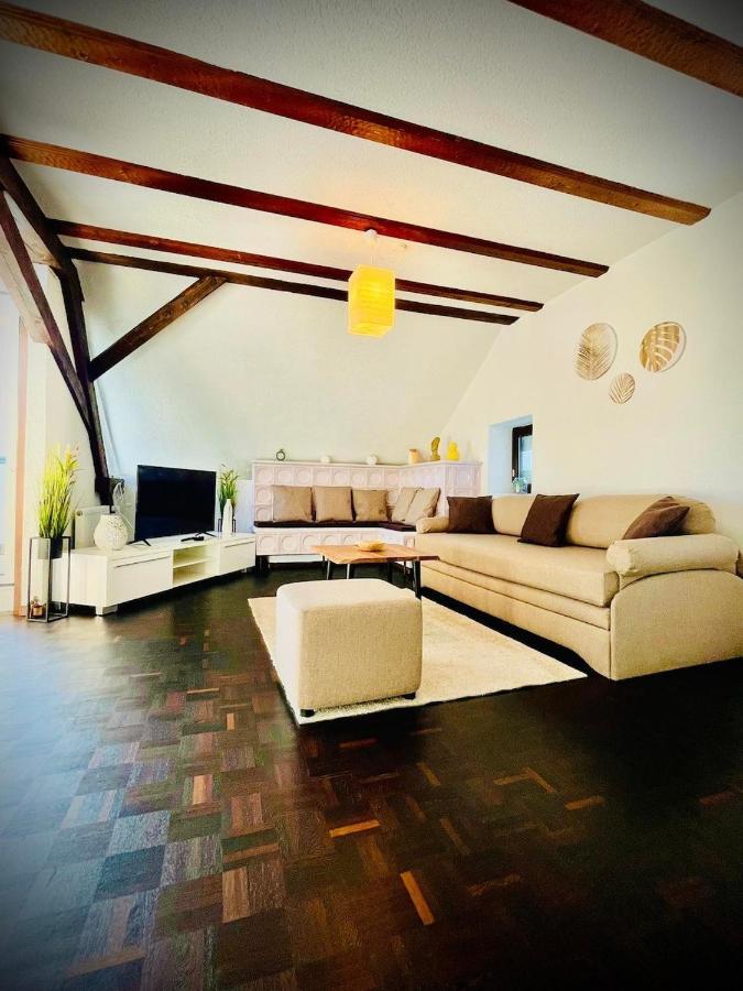 Chris & Aris Ferienwohnung Waldshut Zentrum Ngoại thất bức ảnh